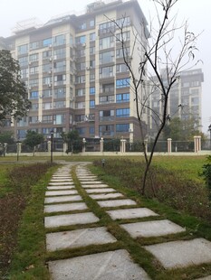 雾中小区小径与楼宇景观