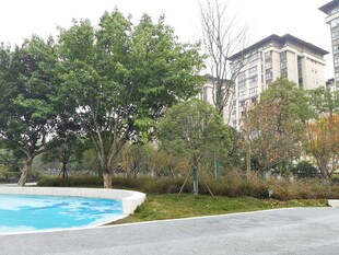 小区内的泳池与绿化景观