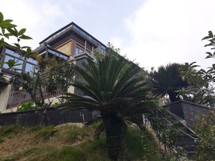 山间别墅旁的绿植景观