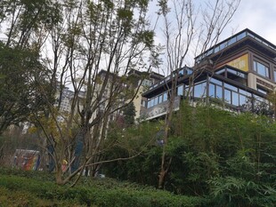 山林间的现代风格别墅