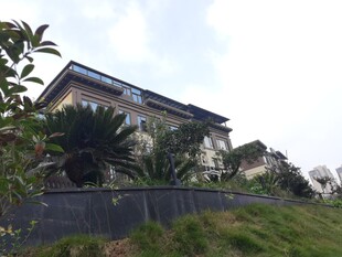 山坡上的现代风格住宅