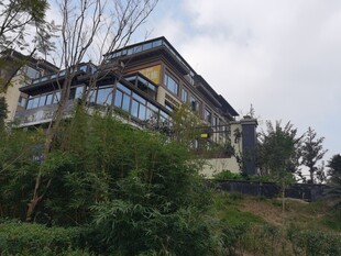 山间别墅隐于葱郁植被中