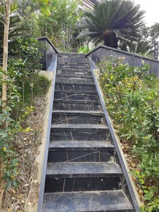 林间石阶通往自然深处