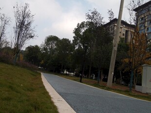 城郊宁静小路与周边景致