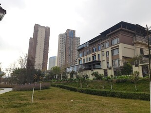 城市中错落的现代建筑群