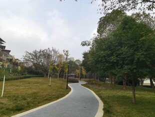 公园蜿蜒小路绿意盎然