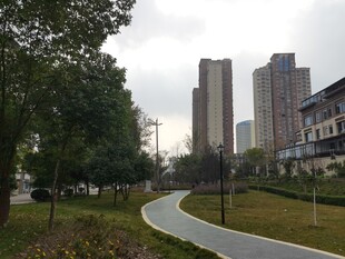 城市中的蜿蜒步道与高楼