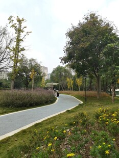 蜿蜒小径旁的多彩园林