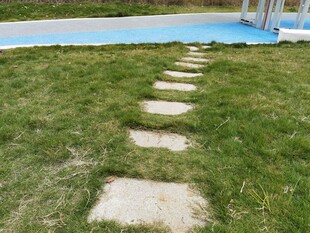 草地中的石板小径