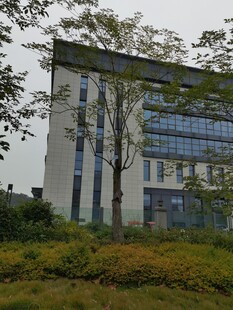 现代建筑旁的绿植景观