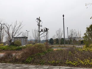 户外空旷场地景观