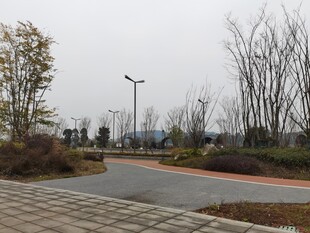 城郊空旷道路景观