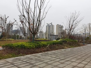 城市冬日空旷步道景观