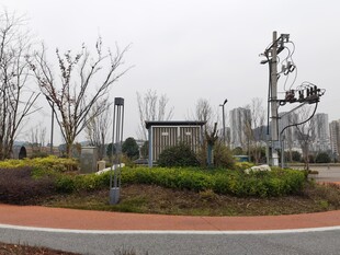 城市环形景观带绿植风貌