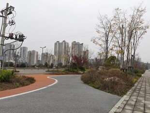 城市公园中的蜿蜒步道