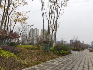 城市中的宁静砖砌小路