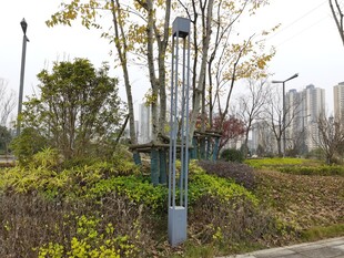 城市公园绿植与景观灯