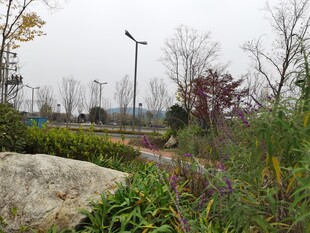 户外风力发电景观场景