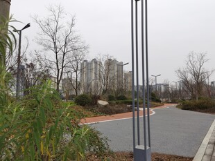 城市道路旁的绿植与灯杆