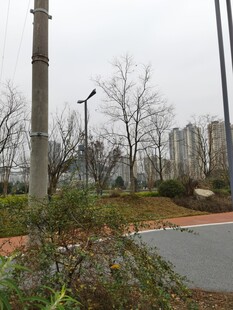 城郊冬日道路边景致