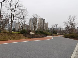 城市中蜿蜒的空旷道路