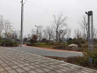 城郊冬日空旷道路景观