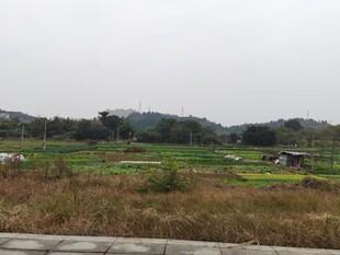 田野风光展现乡村自然景致