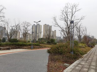 城市公园中的宁静道路