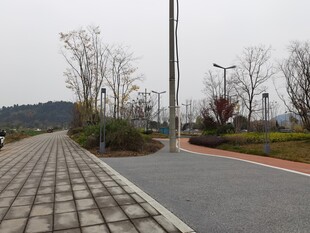 城市道路旁的景观步道