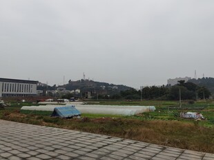 户外开阔场地景观