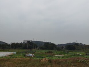 乡村田野风光远景图