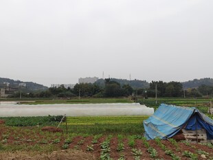 田野边的蓝色帐篷
