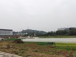 户外开阔风景远处建筑与湖