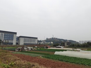 城郊田园与现代建筑景观