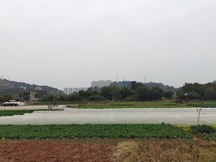 乡村田野风光景色