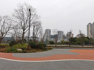 城市公园中的蜿蜒步道