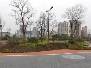 城市公园道路景观