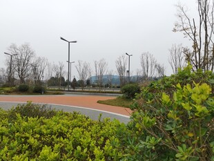 城郊绿化带景观