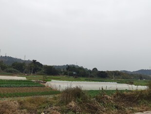 乡村田野风光景色