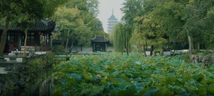 荷塘边的静谧中式园林景致