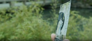 手持旧照于绿意背景中