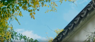 中式屋檐下的蓝天绿树