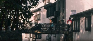 庭院中的房屋景致