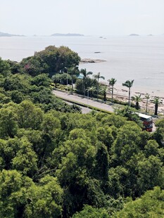 俯瞰绿树环绕的海滨风光