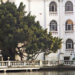 河畔白楼与葱郁树木