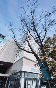 现代风格建筑外观一角