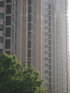 城市高楼与绿植景观