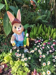 花园中的可爱兔子玩偶