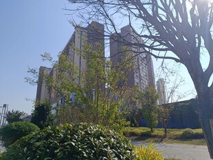 阳光下的城市建筑景观