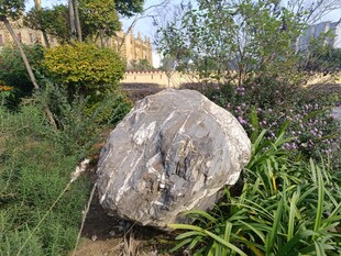 园林景观中的巨石